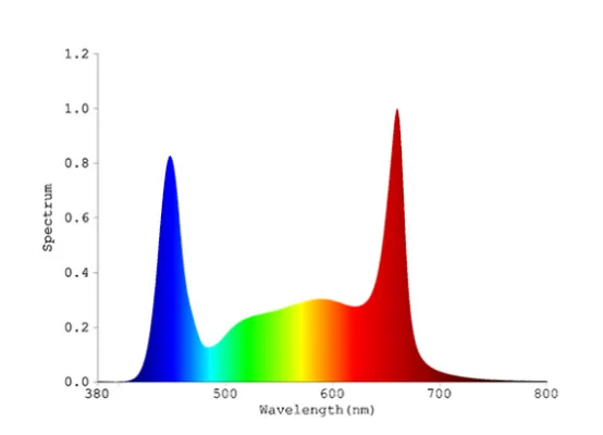 LED light spectrum LED light spectrum