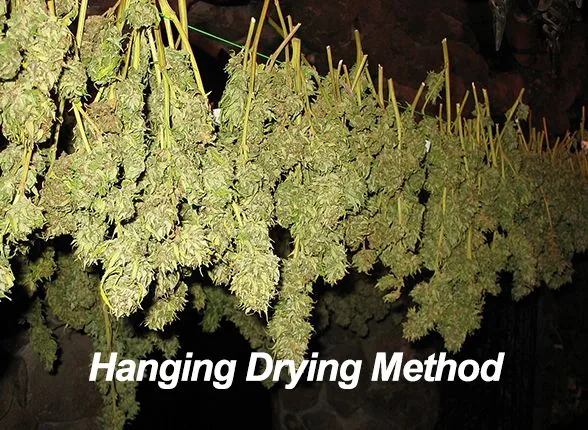 Method 1: Hanging Dry Method (The Most Common and Simple)