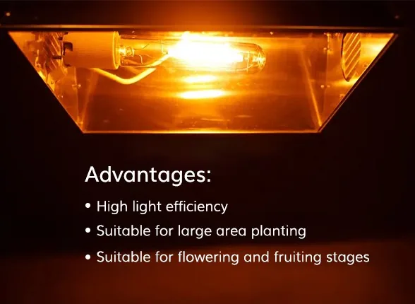 HPS Lamps HPS Lamps