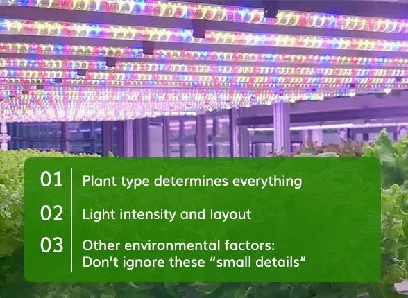 How to Choose the Best Grow Lamp for Indoor Plants? How to Choose the Best Grow Lamp for Indoor Plants?