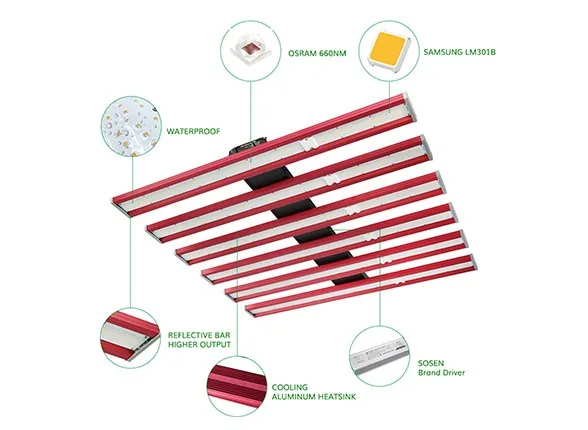 Full Spectrum LED Lights Full Spectrum LED Lights