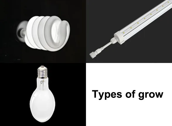 1728899752992007784.png AE457B5F-F4DD-45fa-B7A5-E67244298326.png